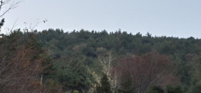 경남 고성군 대가면 임야 경매 물건 사진 4 · 2025타경22175