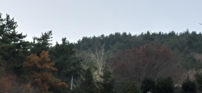 경남 고성군 대가면 임야 경매 물건 사진 5 · 2025타경22175