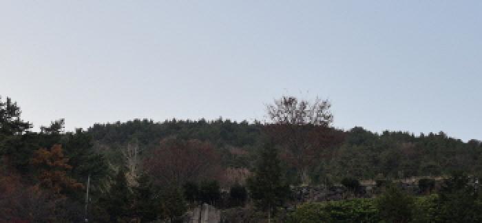 경남 고성군 대가면 임야 경매 물건 사진 6 · 2025타경22175