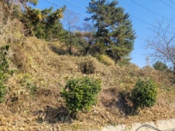 경남 통영시 사량면 전 경매 물건 사진