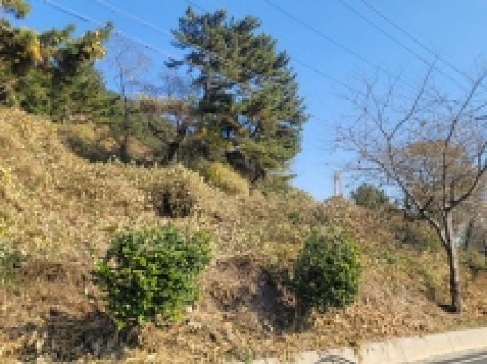 경남 통영시 사량면 전 경매 물건 사진 2 · 2025타경22182