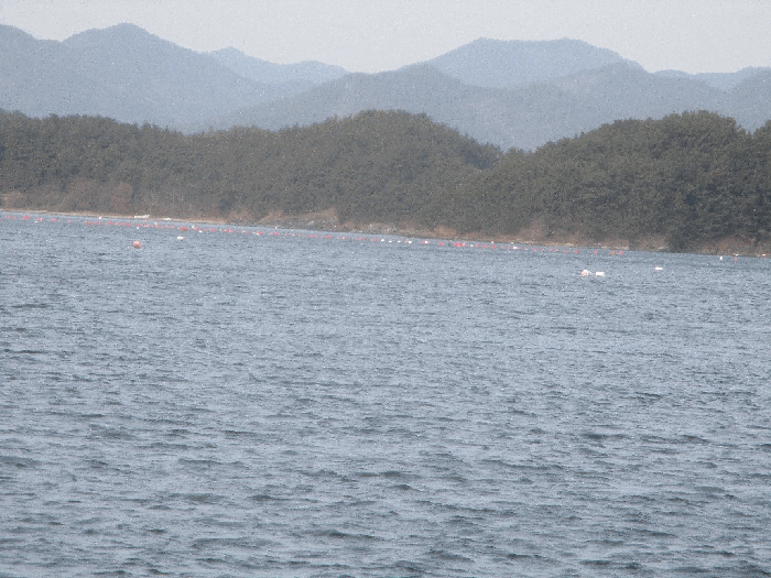경남 통영시 도산면 어업권 경매 물건 사진