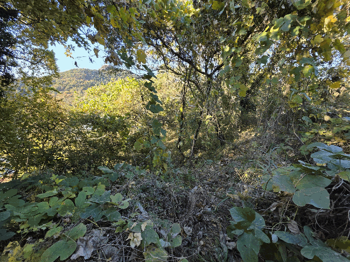 경남 통영시 산양읍 전 경매 물건 사진 6 · 2025타경22206