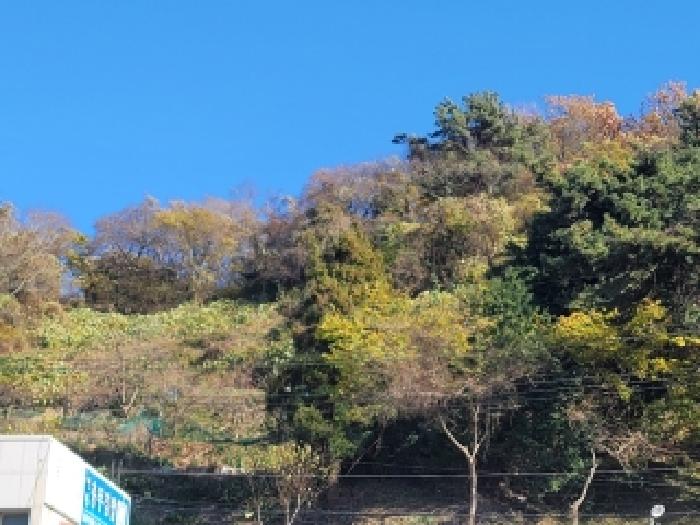 경남 통영시 산양읍 전 경매 물건 사진