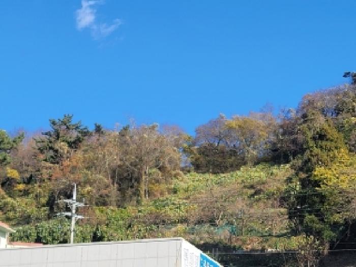 경남 통영시 산양읍 전 경매 물건 사진 2 · 2025타경22206