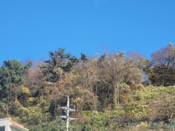 경남 통영시 산양읍 전 경매 물건 사진 3 · 2025타경22206