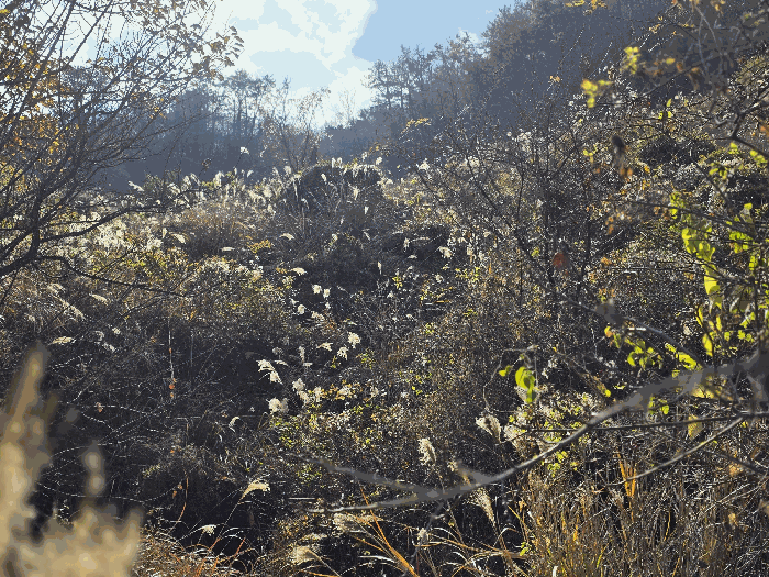 경남 통영시 한산면 답 경매 물건 사진 5 · 2025타경22214