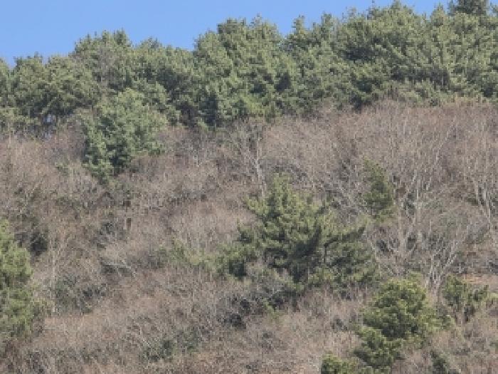 경남 통영시 한산면 답 경매 물건 사진