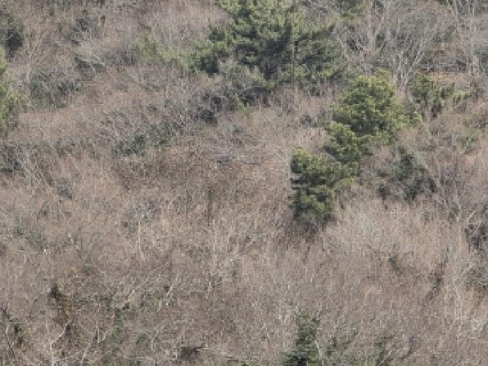 경남 통영시 한산면 답 경매 물건 사진 2 · 2025타경22214
