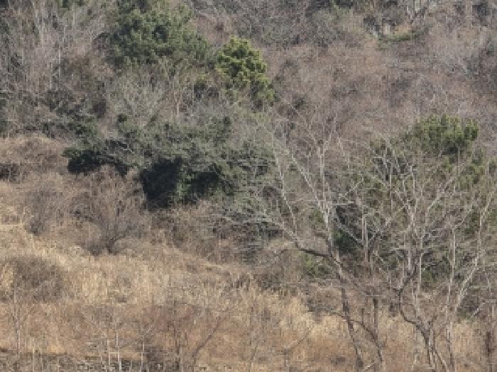 경남 통영시 한산면 답 경매 물건 사진 3 · 2025타경22214