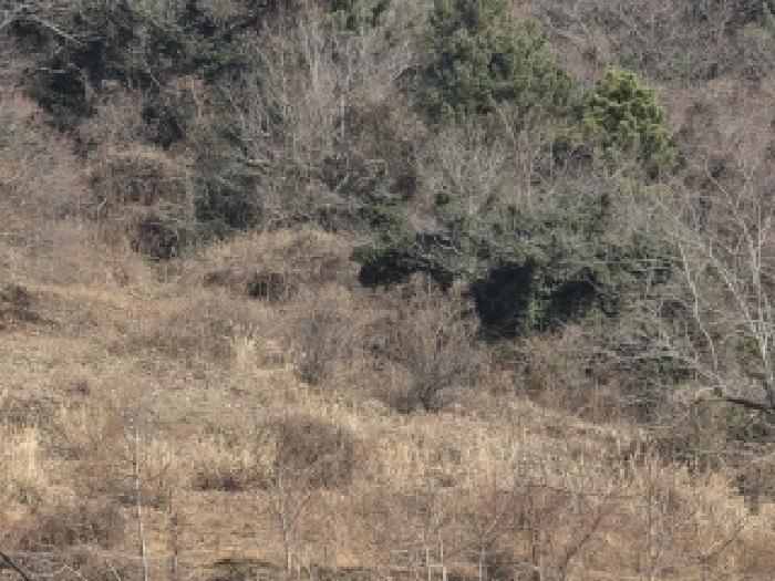 경남 통영시 한산면 답 경매 물건 사진 4 · 2025타경22214