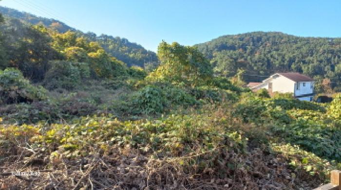 경남 거제시 하청면 전 경매 물건 사진 6 · 2025타경22225