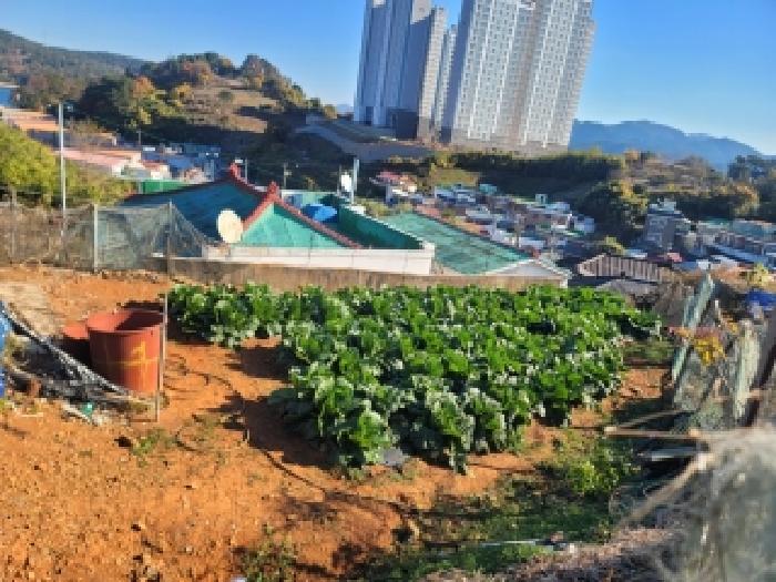 경남 통영시 용남면 전 경매 물건 사진