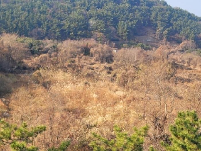 경남 거제시 사등면 전답 경매 물건 사진