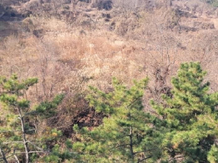 경남 거제시 사등면 전답 경매 물건 사진 2 · 2025타경22245