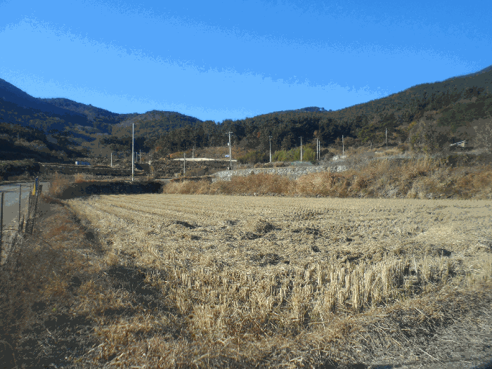 경남 거제시 둔덕면 답 경매 물건 사진 4 · 2025타경22246