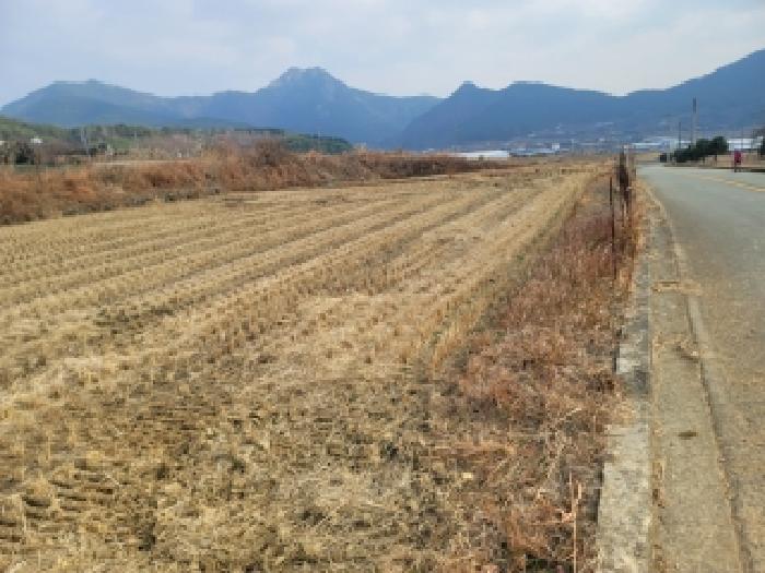 경남 거제시 둔덕면 답 경매 물건 사진