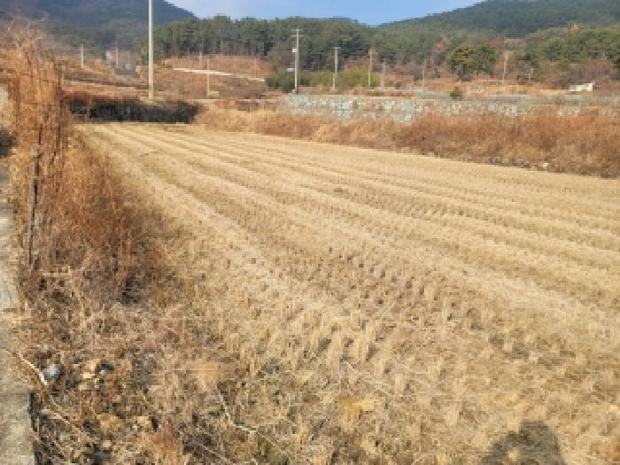 경남 거제시 둔덕면 답 경매 물건 사진 2 · 2025타경22246