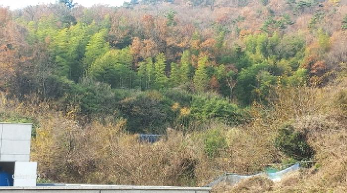 경남 거제시 연초면 답 경매 물건 사진 4 · 2025타경22247