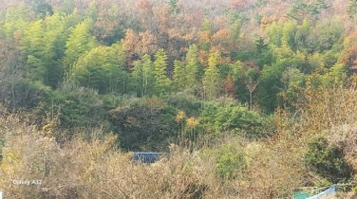 경남 거제시 연초면 답 경매 물건 사진 5 · 2025타경22247