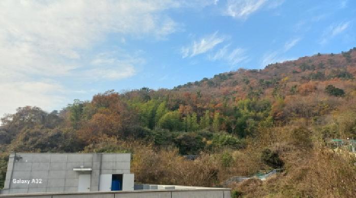 경남 거제시 연초면 답 경매 물건 사진 6 · 2025타경22247