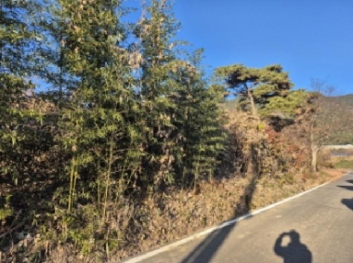 경남 고성군 거류면 답 경매 물건 사진 5 · 2025타경22282