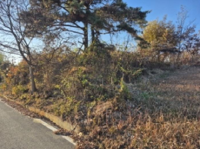 경남 고성군 거류면 답 경매 물건 사진 6 · 2025타경22282