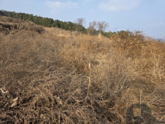 경남 거제시 사등면 전답 경매 물건 사진