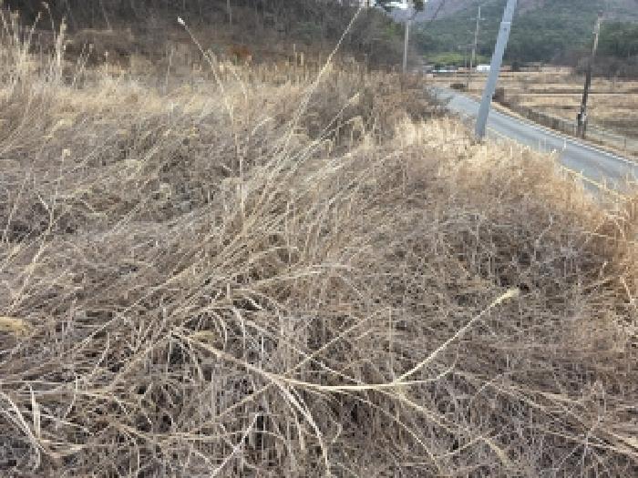 경남 통영시 한산면 전 경매 물건 사진 6 · 2025타경22307