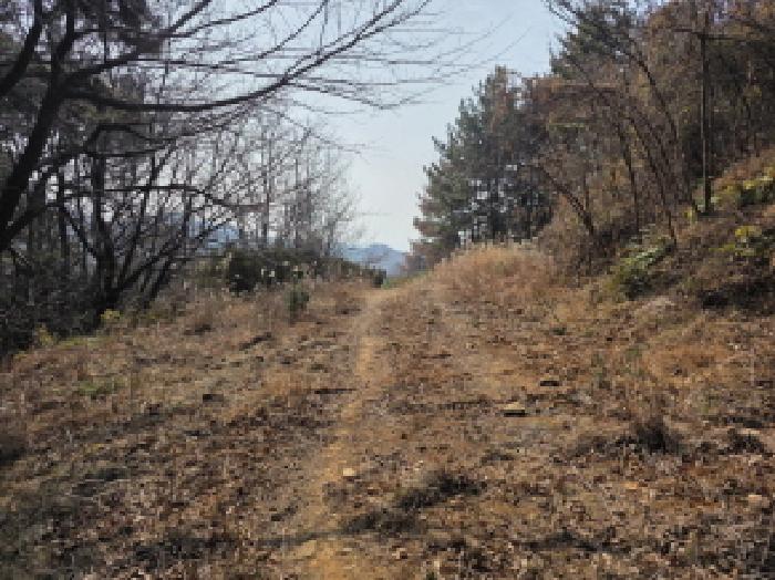 경남 통영시 산양읍 대지,임야,전답 경매 물건 사진