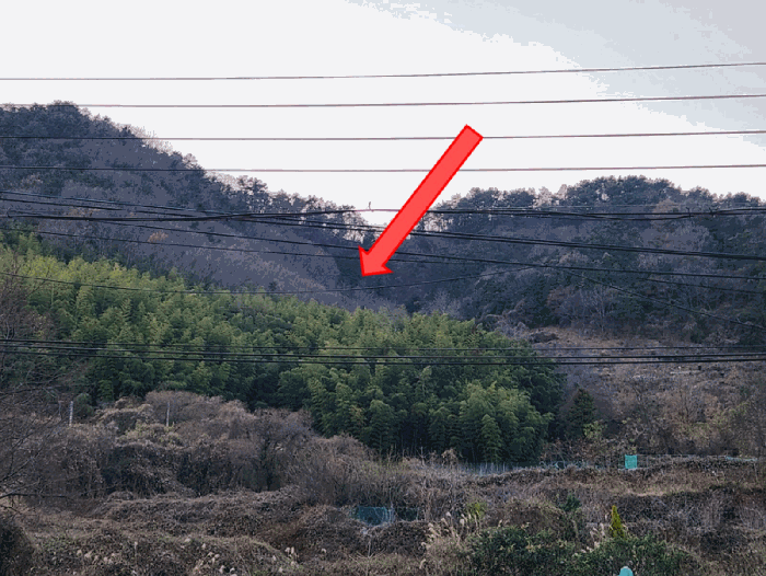 경남 거제시 장목면 답 경매 물건 사진 6 · 2025타경22314