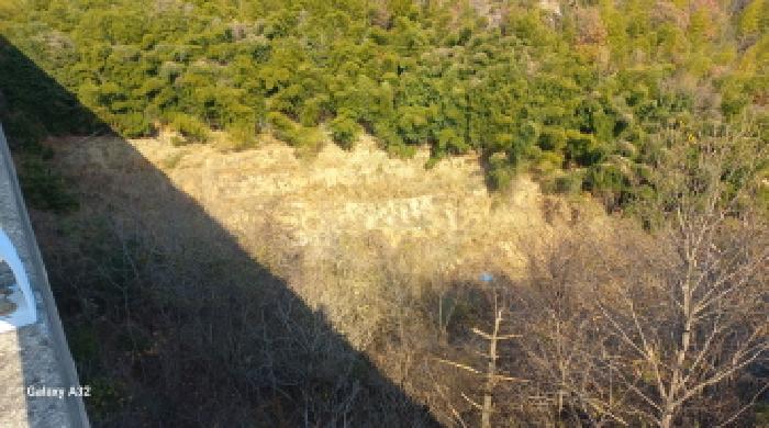 경남 거제시 장목면 답 경매 물건 사진