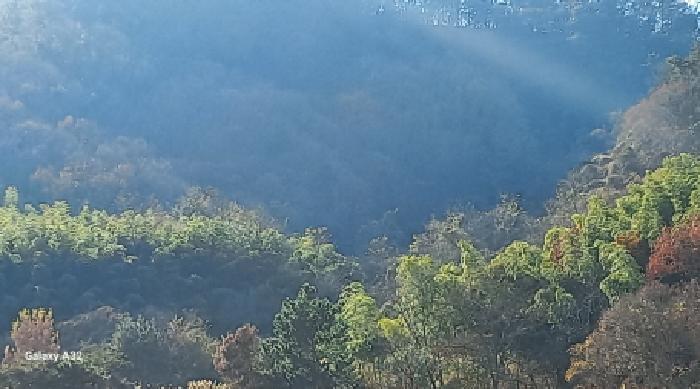 경남 거제시 장목면 답 경매 물건 사진 3 · 2025타경22314
