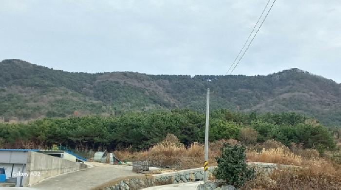 경남 거제시 동부면 임야 경매 물건 사진