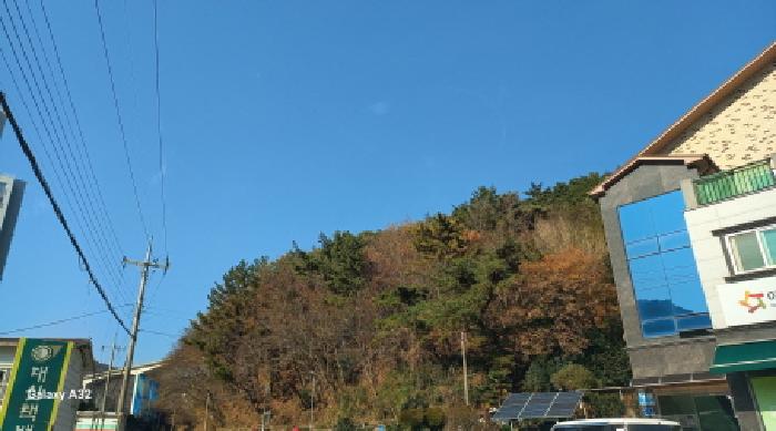 경남 거제시 덕포동 임야 경매 물건 사진
