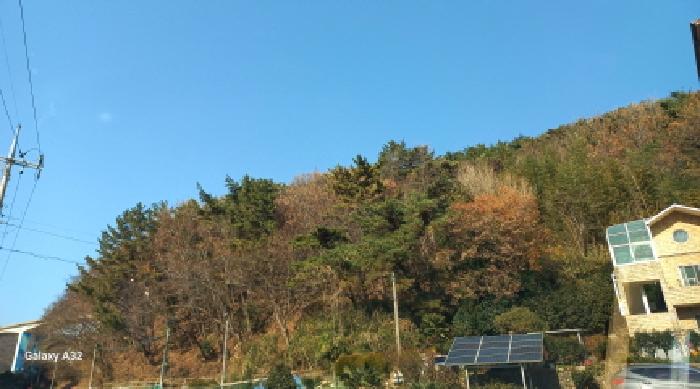 경남 거제시 덕포동 임야 경매 물건 사진 2 · 2025타경22324