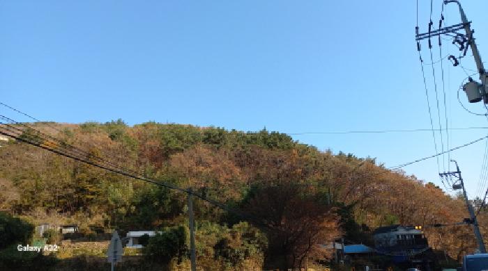 경남 거제시 덕포동 임야 경매 물건 사진 4 · 2025타경22324