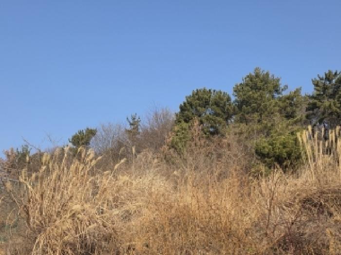 경남 통영시 용남면 대지 경매 물건 사진 5 · 2025타경22364