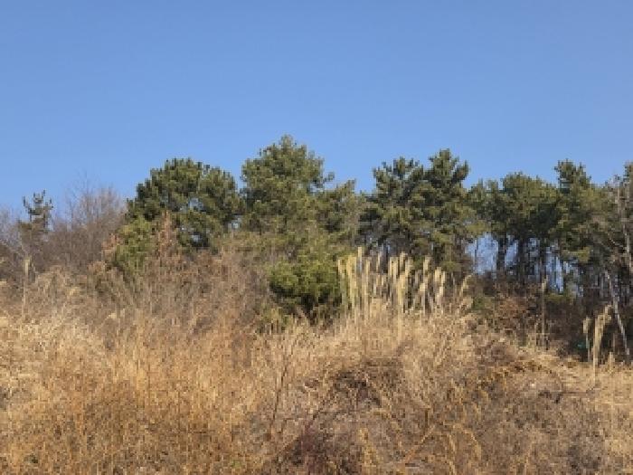 경남 통영시 용남면 대지 경매 물건 사진 6 · 2025타경22364