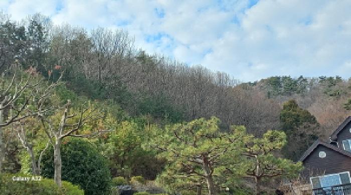 경남 거제시 덕포동 임야 경매 물건 사진 6 · 2025타경22365