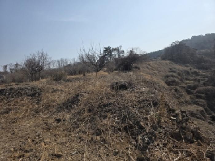 경남 거제시 사등면 임야 경매 물건 사진 4 · 2025타경22386