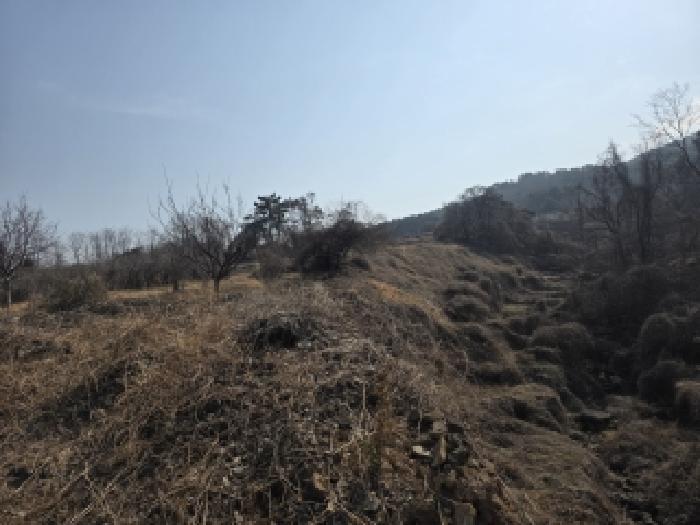 경남 거제시 사등면 임야 경매 물건 사진 5 · 2025타경22386