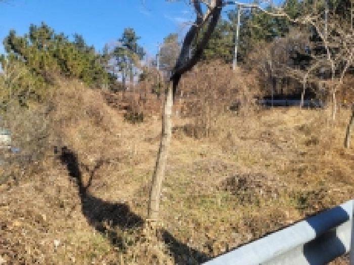 경남 거제시 사등면 전 경매 물건 사진