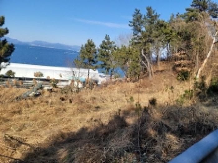 경남 거제시 사등면 전 경매 물건 사진 5 · 2025타경251
