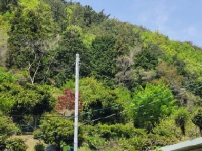 경남 통영시 산양읍 전 경매 물건 사진 2 · 2025타경367