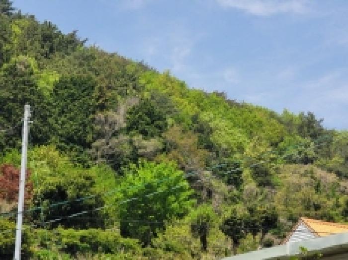 경남 통영시 산양읍 전 경매 물건 사진 3 · 2025타경367