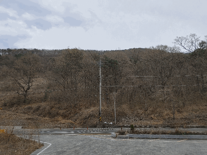 경상남도 고성군 동해면 외산리 산20 임야 경매 물건 사진