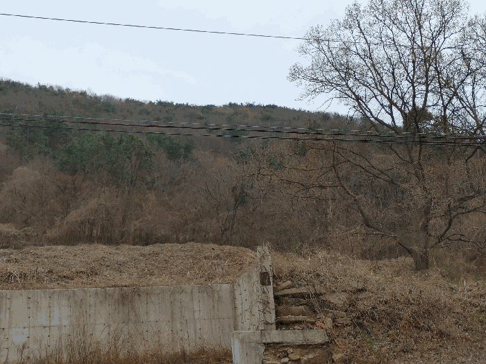 경남 고성군 동해면 임야 경매 물건 사진 6 · 2025타경395