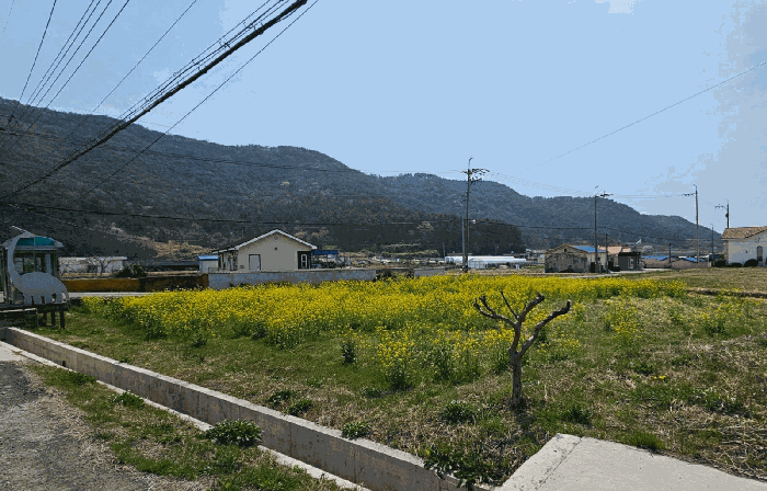 경상남도 고성군 삼산면 삼봉리 783-2 답 경매 물건 사진