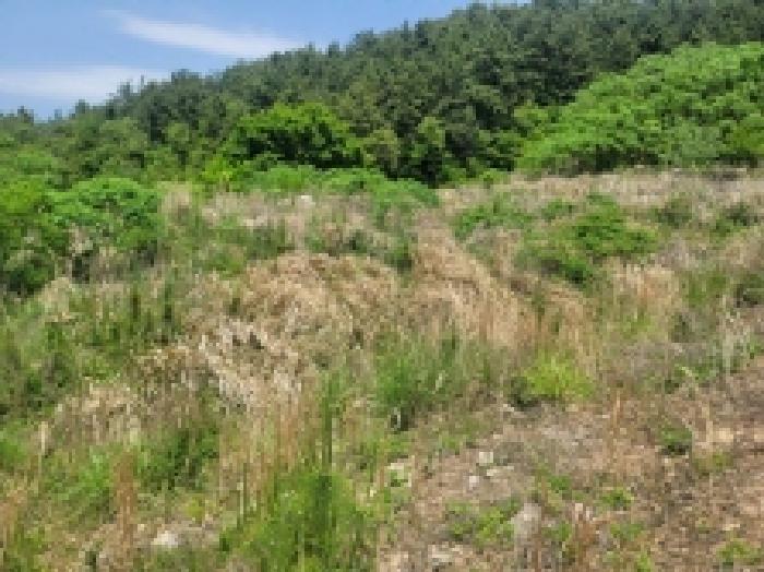 경남 거제시 사등면 답 경매 물건 사진 2 · 2025타경450